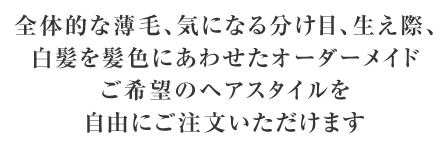 全体的な薄毛、気になる分け目、生え際、白髪を髪色にあわせたオーダーメイド ご希望のヘアスタイルを自由にご注文いただけます